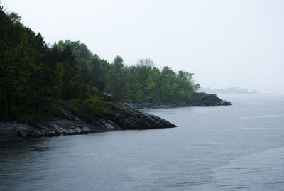 Reflection of trees in water