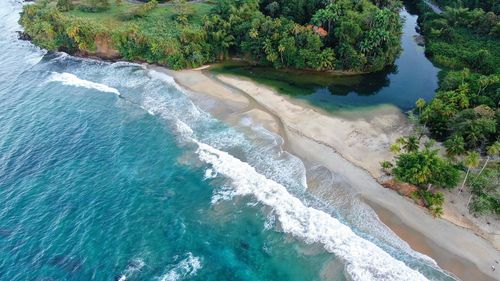 High angle view of sea and trees