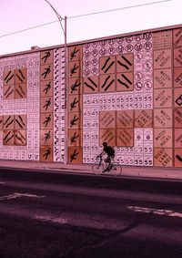 Man riding bicycle on street