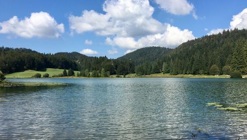 Scenic view of lake by trees against sky