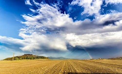 Scenic view of agricultural field against sky