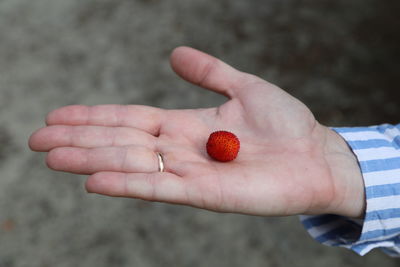 Close-up of hand holding strawberry