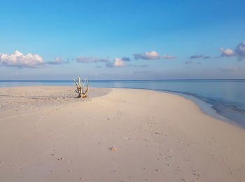 White sand and turquoise waters on the indian ocean beach in the maldives