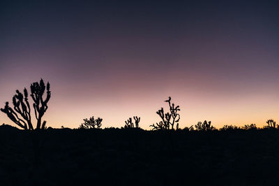 Silhouette trees on field against sky at sunset