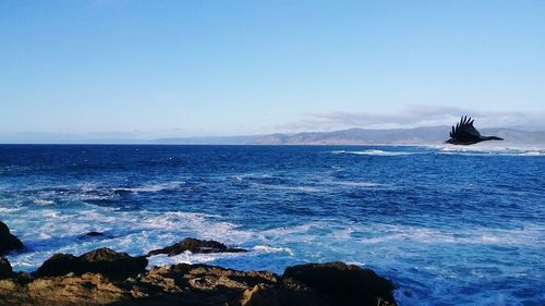 Scenic view of sea against clear blue sky