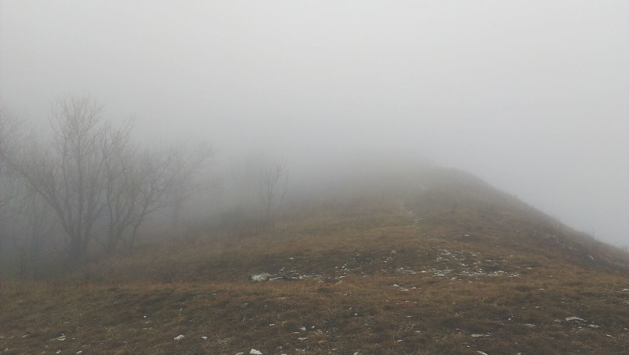 fog, foggy, weather, tranquility, tranquil scene, scenics, beauty in nature, mist, landscape, tree, nature, copy space, winter, non-urban scene, mountain, season, cold temperature, day, sky