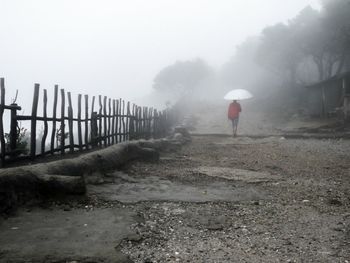 Full length of woman standing in foggy weather