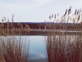 Scenic view of lake against sky