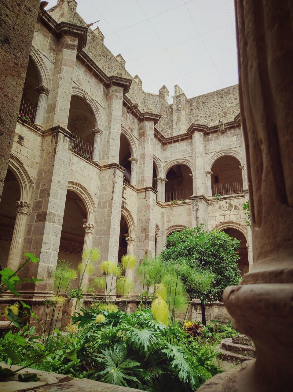 built structure, architecture, plant, the past, history, building exterior, arch, low angle view, nature, day, building, no people, tree, travel, sky, ancient, travel destinations, outdoors, architectural column, growth, ancient civilization, courtyard