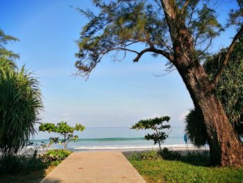 Scenic view of sea against sky