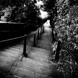 Narrow stairs along trees