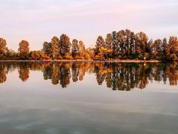 Reflection of trees in lake against sky