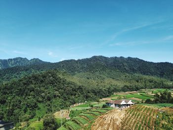 Mountain scenery, dense forest. 