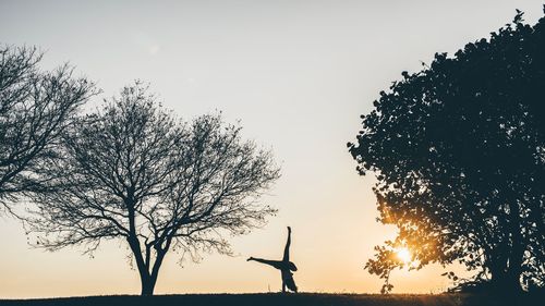 Silhouette tree on landscape against sky during sunset