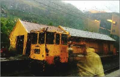 Close-up of wet rainy season