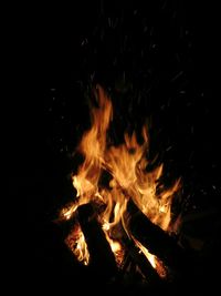 Close-up of bonfire at night