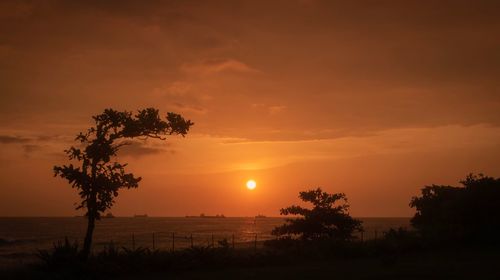 Silhouette trees against sky during sunset