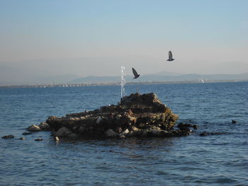 Scenic view of sea against clear sky