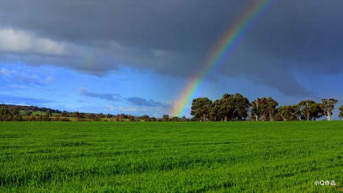 Scenic view of grassy field against cloudy sky