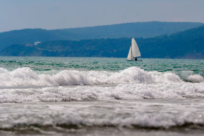 Seascape, a lone sailboat drifting on the waves.