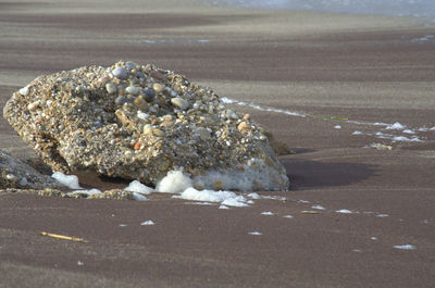 Close up of sea shore