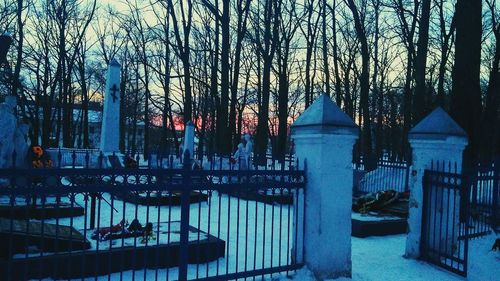 Panoramic view of bare trees by canal during winter