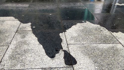 High angle view of shadow on floor