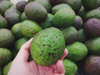 Close-up of hand holding fruits for sale in market