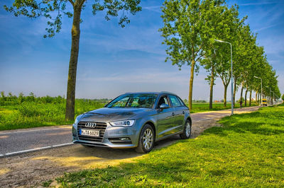 Car on road amidst trees against sky