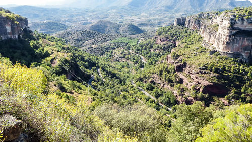 High angle view of trees on landscape