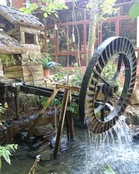 Old water wheel by trees