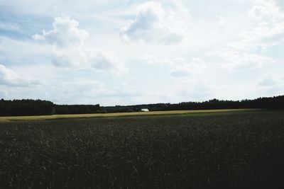 Scenic view of field against sky