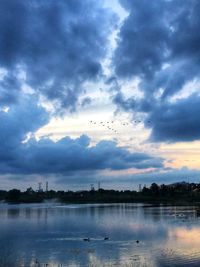 Birds flying over lake against sky