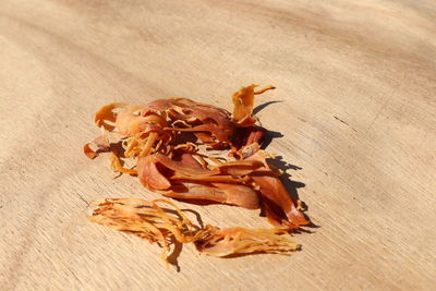 High angle view of dry leaf on table