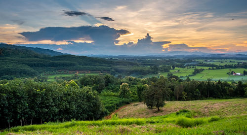 Scenic view of agricultural field against sky during sunset