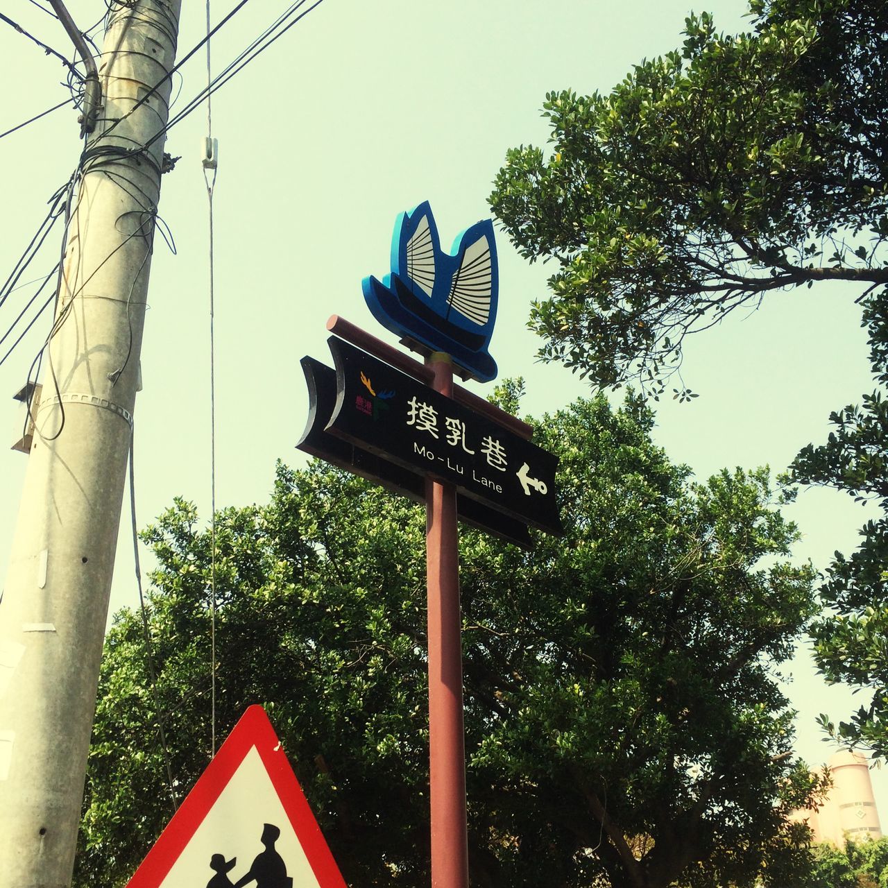 low angle view, text, tree, communication, western script, non-western script, sign, information sign, hanging, sky, clear sky, day, information, no people, guidance, built structure, pole, capital letter, outdoors, road sign