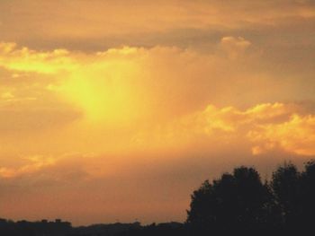 Low angle view of silhouette trees against sky at sunset