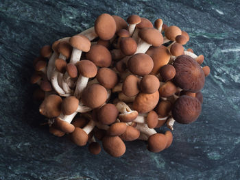 High angle view of mushrooms on table