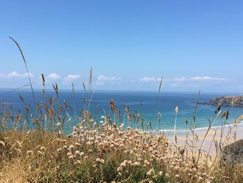 Scenic view of sea against blue sky