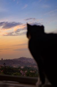 Close-up of silhouette cat against sky during sunset