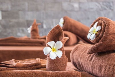 Close-up of white flowers and towel