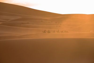 Scenic view of desert against sky