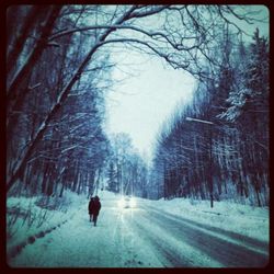 Snow covered road in winter