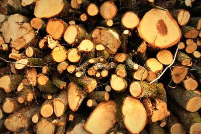 Full frame shot of logs