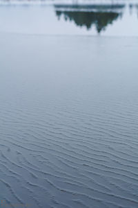 Reflection of trees in water