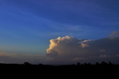 Silhouette trees on field against sky at sunset