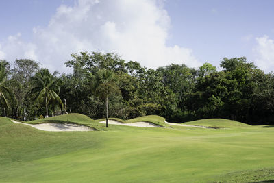 Panoramic view of a golf course with sand bunkers surrounded by tropical plants in mexico