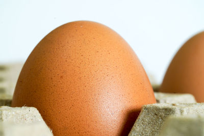 Close-up of bread against white background