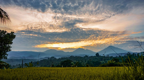 Scenic view of field against sky during sunset