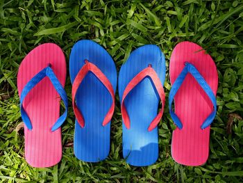 Photo of colorful rubber slippers or flip flops on fresh green grass